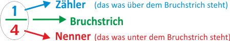 Brüche und Brucharten